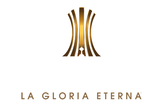 Libertadores de america